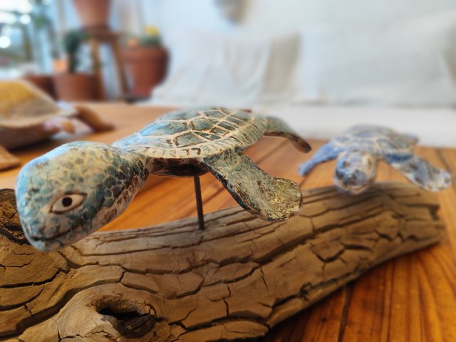 Dos tortugas