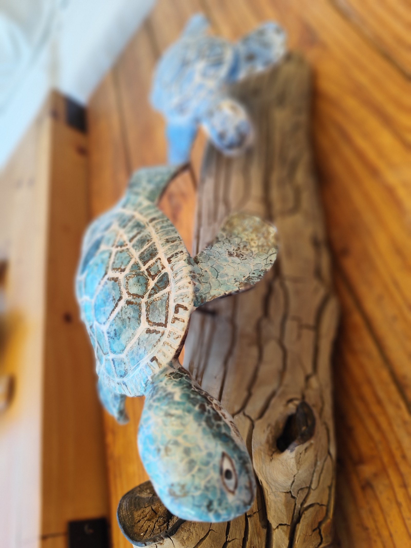Dos tortugas — vista 3