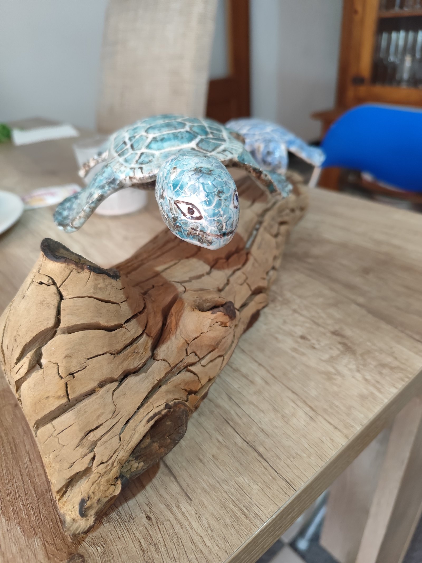 Dos tortugas — vista 5