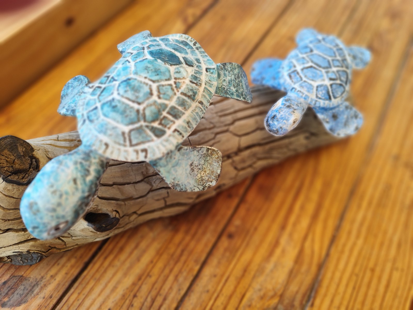 Dos tortugas — vista 6