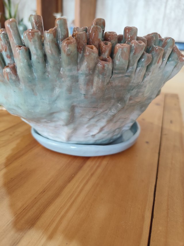 Maceta de corales