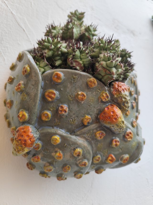 Nopal con tunas