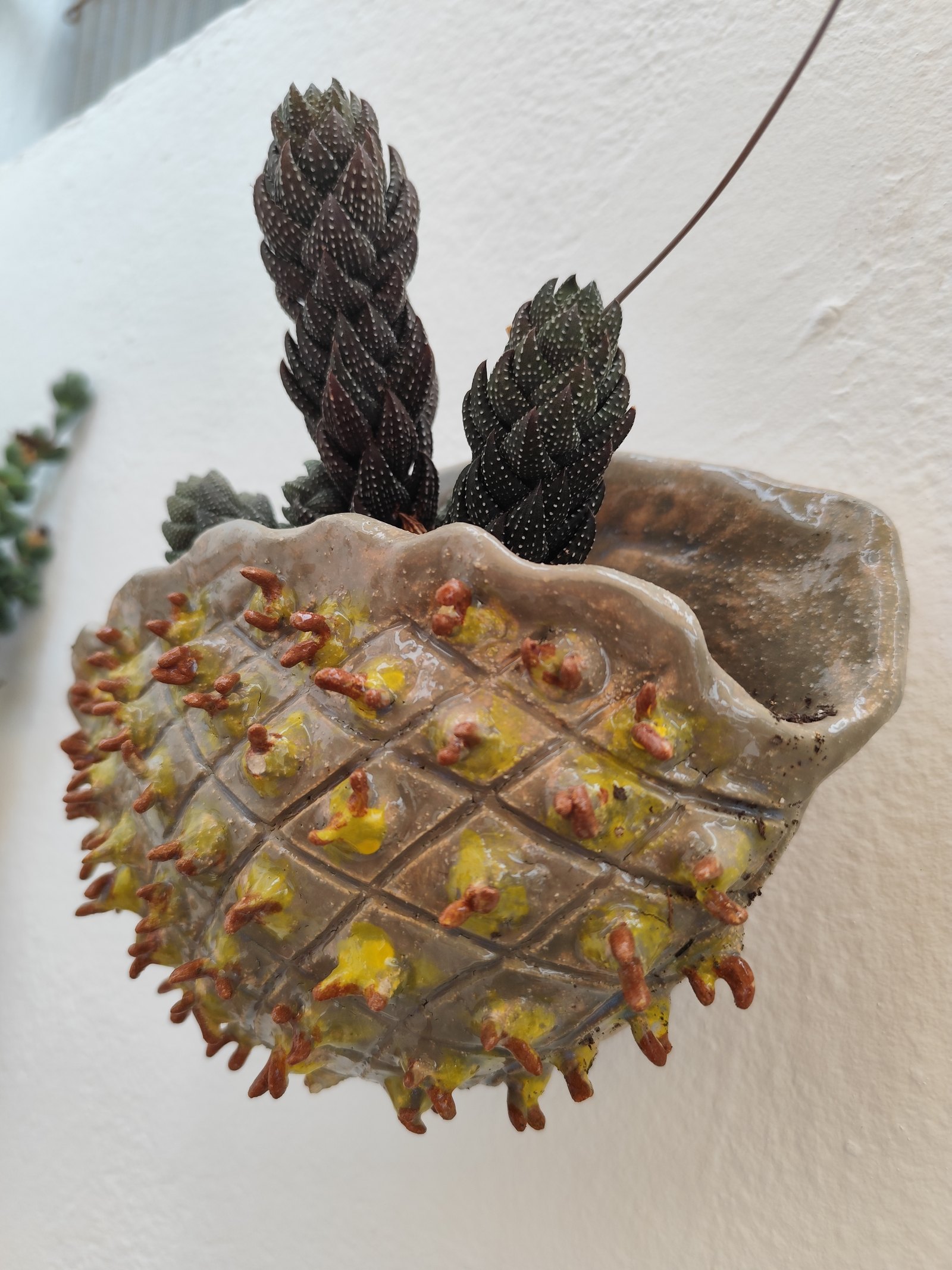 Piña de rombos — vista 1