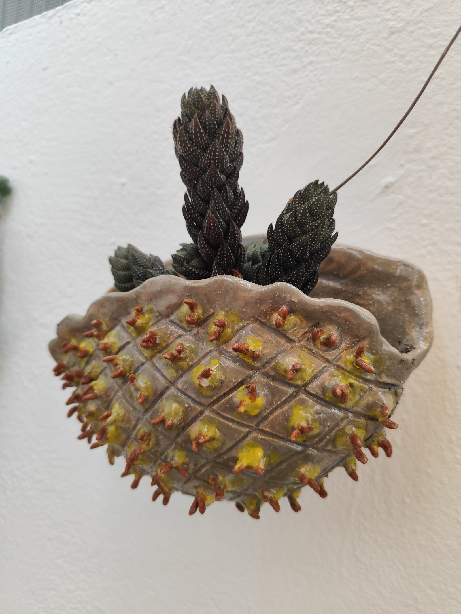 Piña de rombos — vista 2