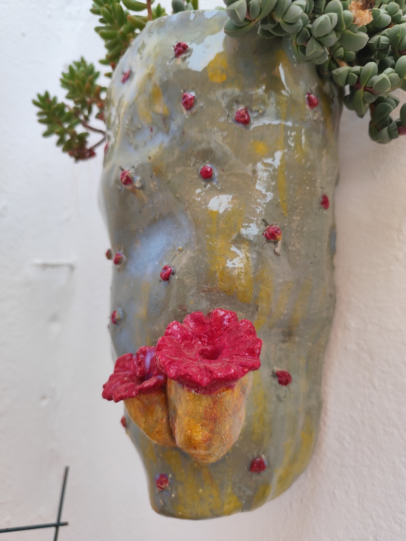 Flores rojas — vista 1