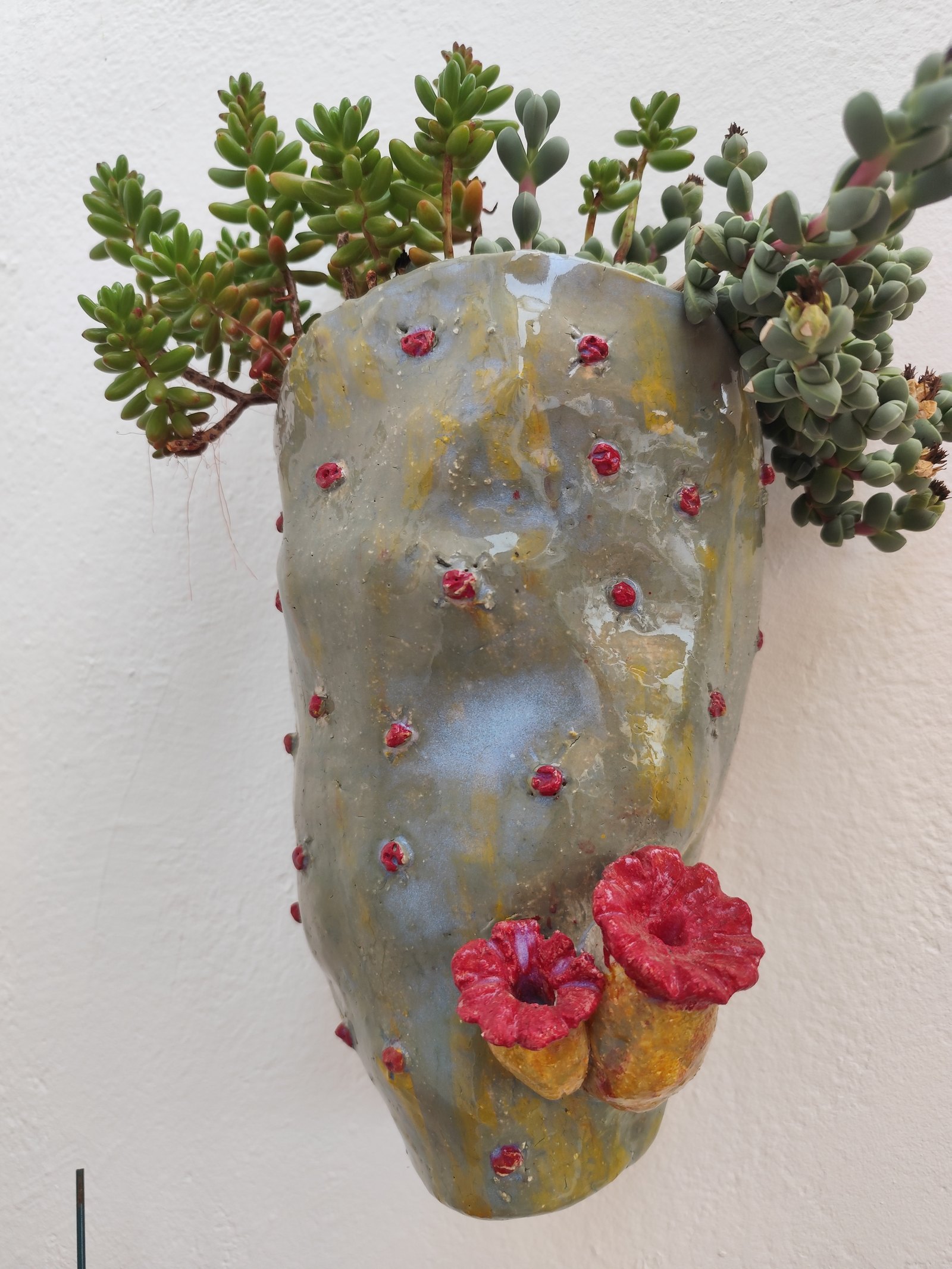 Flores rojas — vista 2