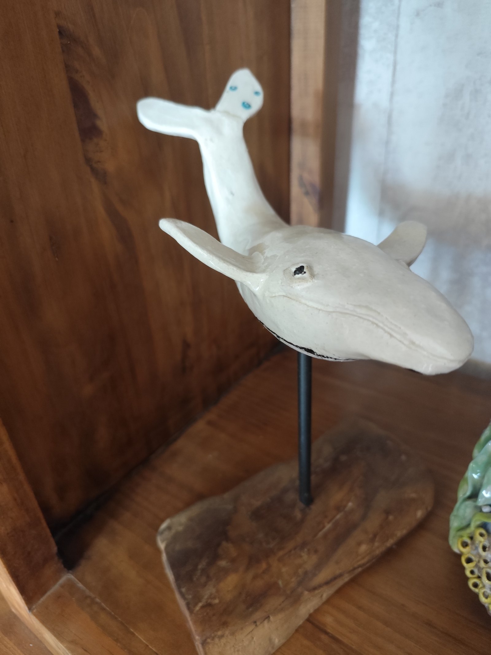 Ballena — vista 3