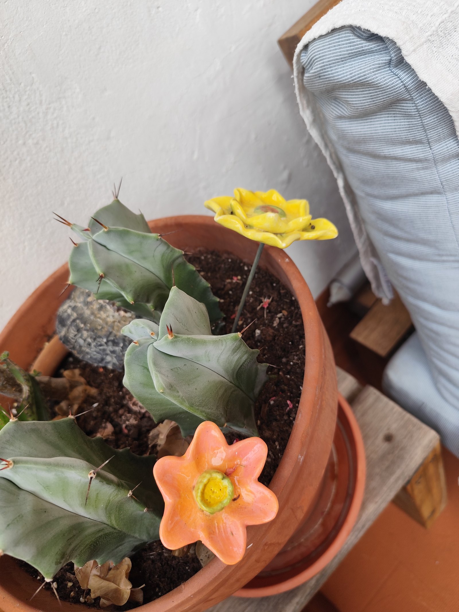 Dos flores pequeñas — vista 1
