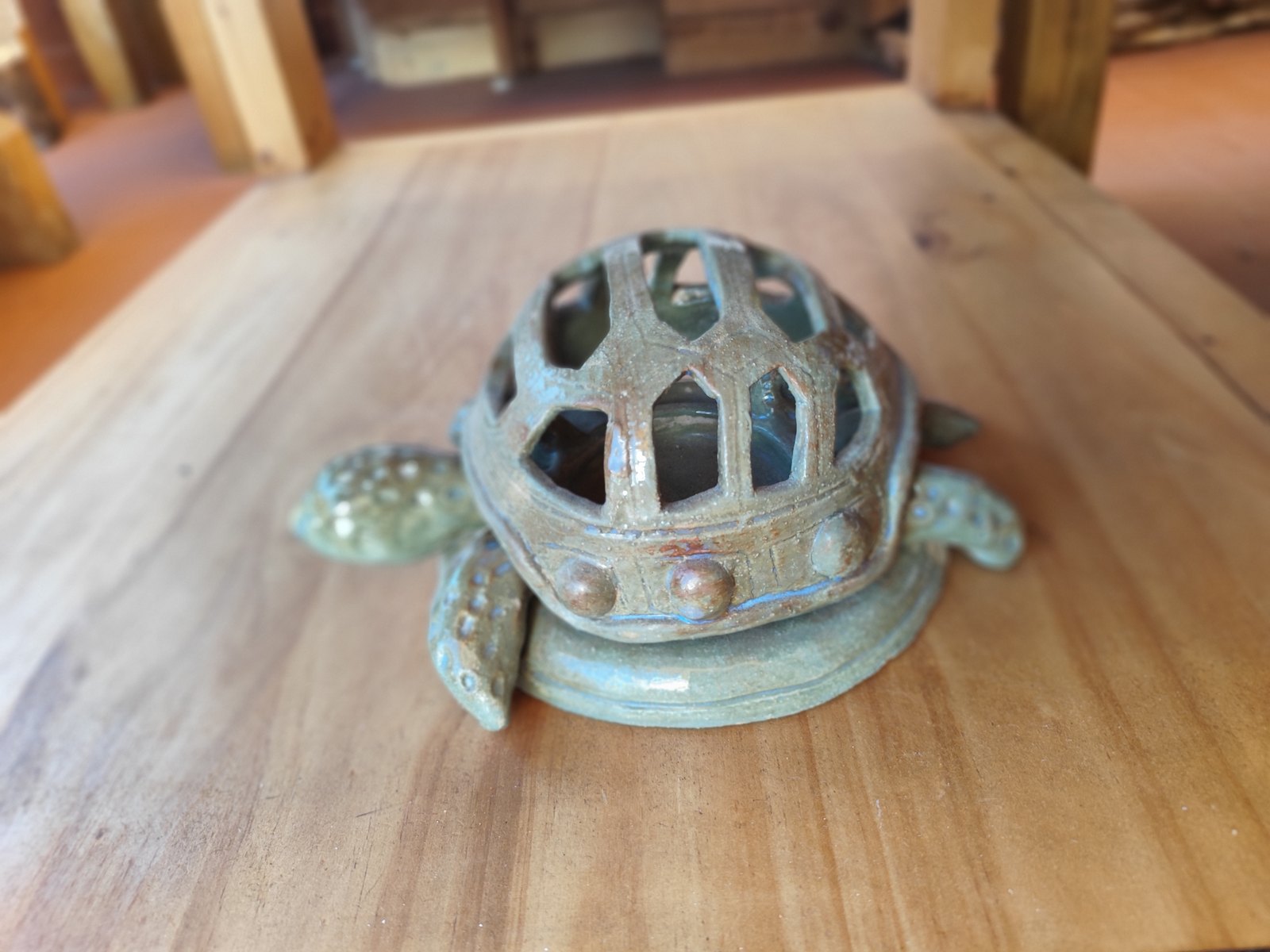 Tortuga de caparazón calado — vista 2
