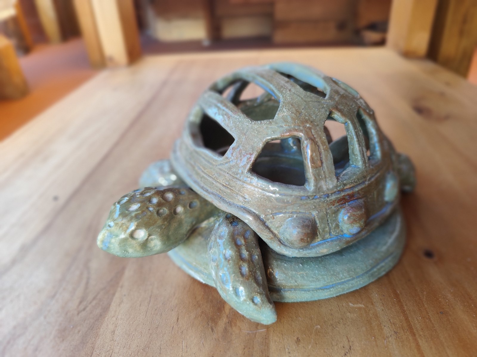 Tortuga de caparazón calado — vista 3